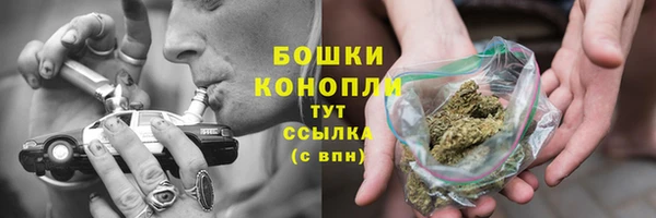 не бодяженный Богданович