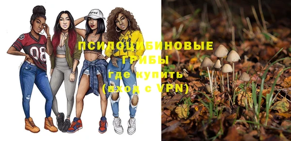 экстази Белокуриха
