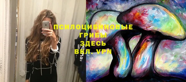 не бодяженный Богданович