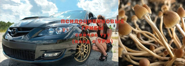 марки nbome Беломорск