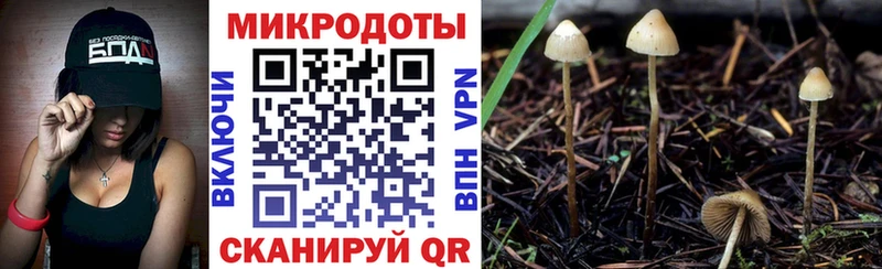 где купить наркоту  Красный Холм  площадка телеграм  Псилоцибиновые грибы ЛСД 